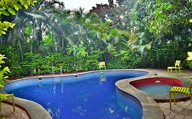 Dolphin Resort